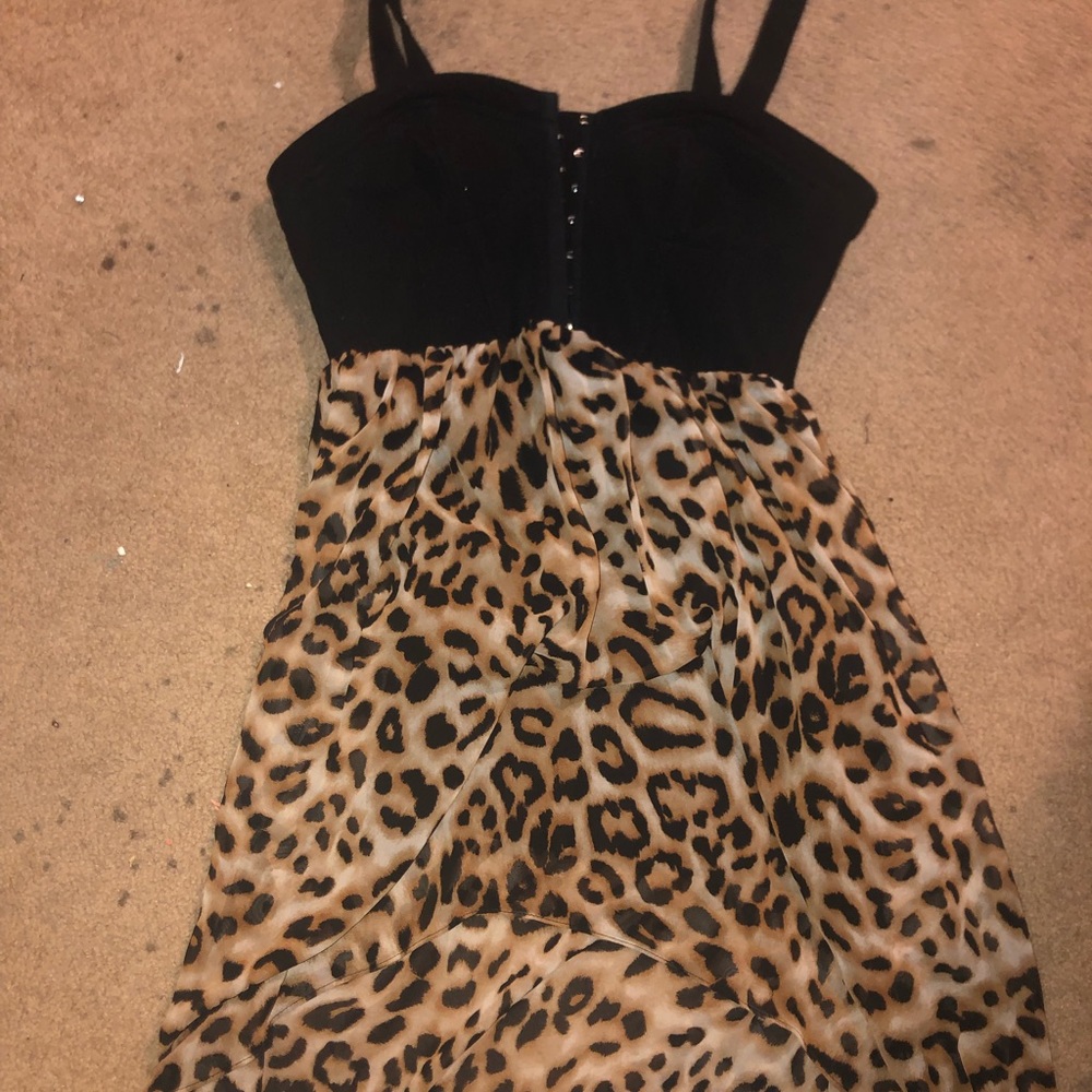 Leopard high low